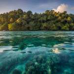 isola del cano guida completa per scoprire questo paradiso marino del costa rica it