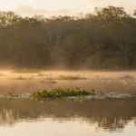 palo verde national park complete guide to discovering this biodiversity sanctua en